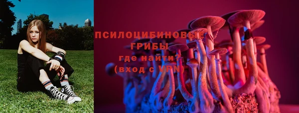 молекула духа Вязьма