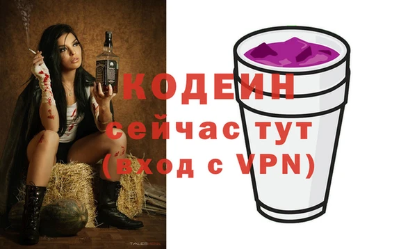 молекула духа Вязьма