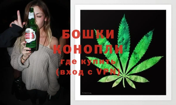 PSILOCYBIN Вязники