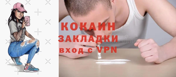 молекула духа Вязьма