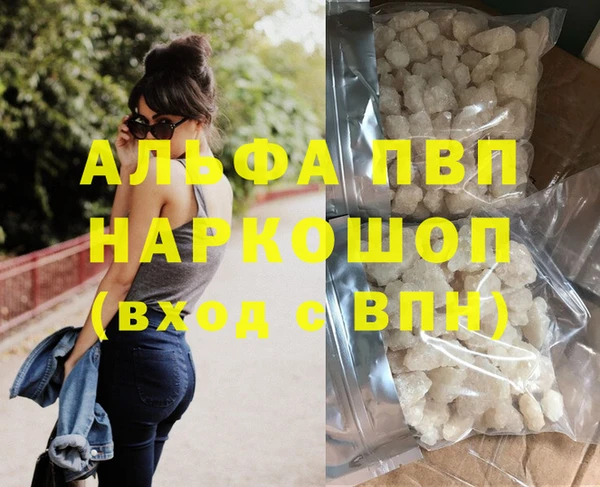молекула духа Вязьма